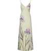 Light Green/Purple